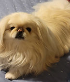 Chyna