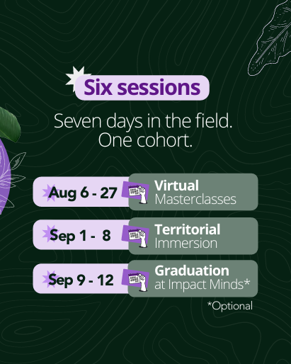 A dark green graphic showing the Pan‑Amazon Investor Education Program timeline: six virtual masterclasses in August, a seven‑day immersion in early September, and an optional graduation at Impact Minds.
