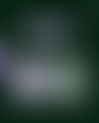 A dark green graphic showing the Pan‑Amazon Investor Education Program timeline: six virtual masterclasses in August, a seven‑day immersion in early September, and an optional graduation at Impact Minds.