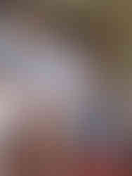 Three people stand indoors reviewing a red‑and‑white folder. One person holds a smartphone while another looks on, suggesting a discussion or review during a cooperative visit.