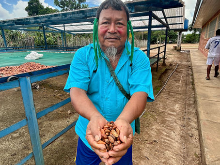 A person holds a handful of dried Amazonian seeds toward the camera, standing beside community‑level drying racks used in forest‑positive value chains.