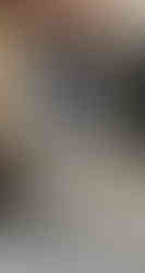 Robots at the Swiss Promenade