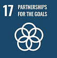 Partnerships for Good