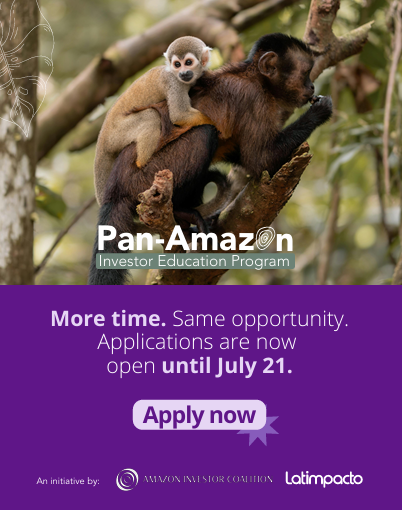 A photo of two monkeys in the Amazon forest, with text announcing that applications for the Pan‑Amazon Investor Education Program are open until July 21, alongside partner logos.