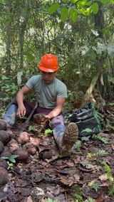 Collector is from Cooperatives in the Amazon Forest