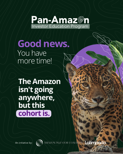 A jaguar surrounded by Amazonian foliage on a dark green background, promoting the Pan‑Amazon Investor Education Program and announcing an extended application deadline.