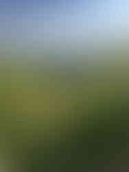AIV team accessing the farm