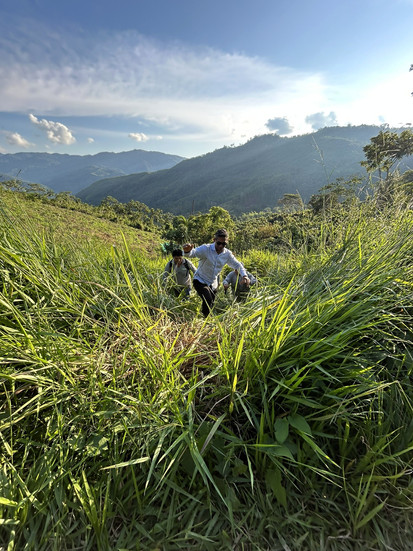 AIV team accessing the farm