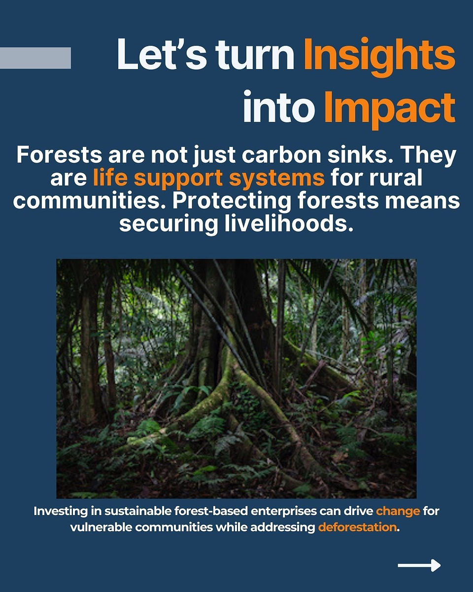 forest amazon picture