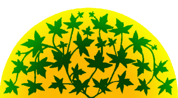 TVHLogo.webp