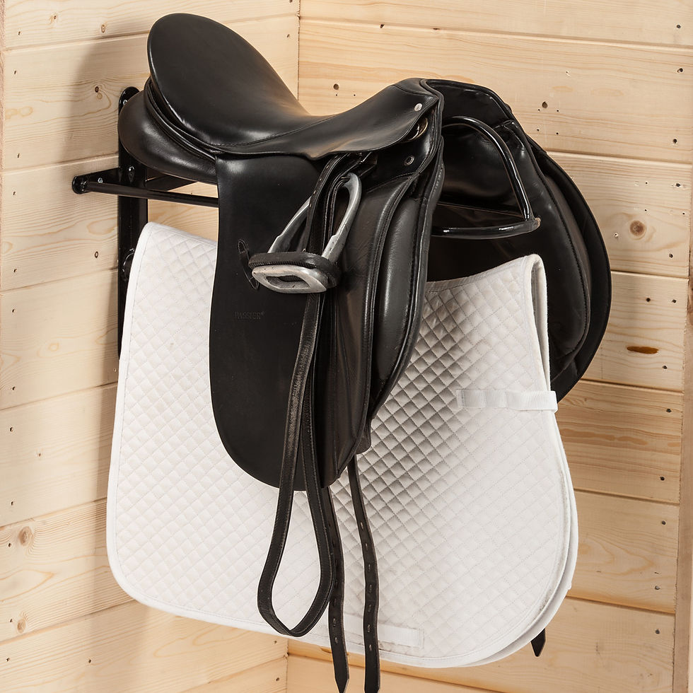 Thumbnail: Western Light Saddle Rack