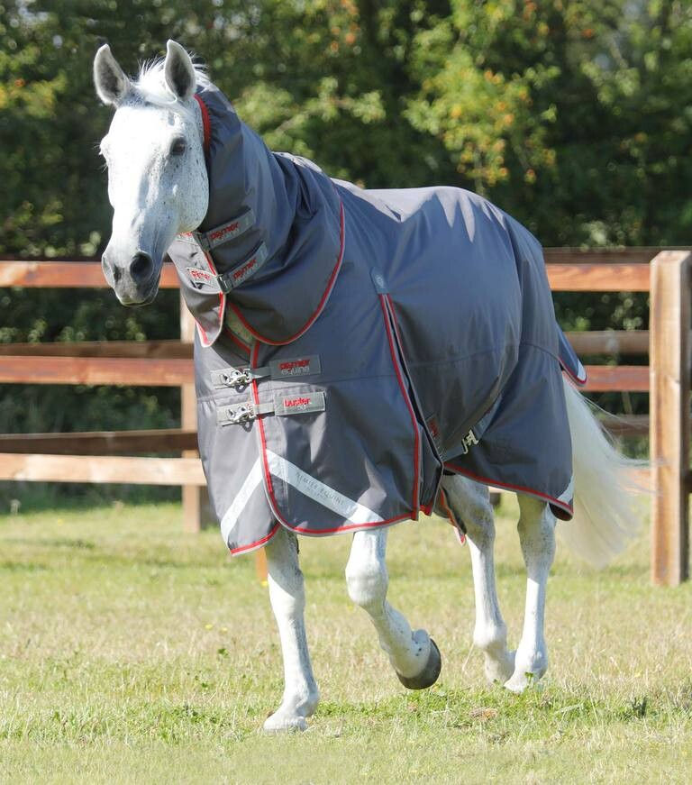 Premier Equine - Buster 50g Turnout Rug with Snug-Fit Neck Cover