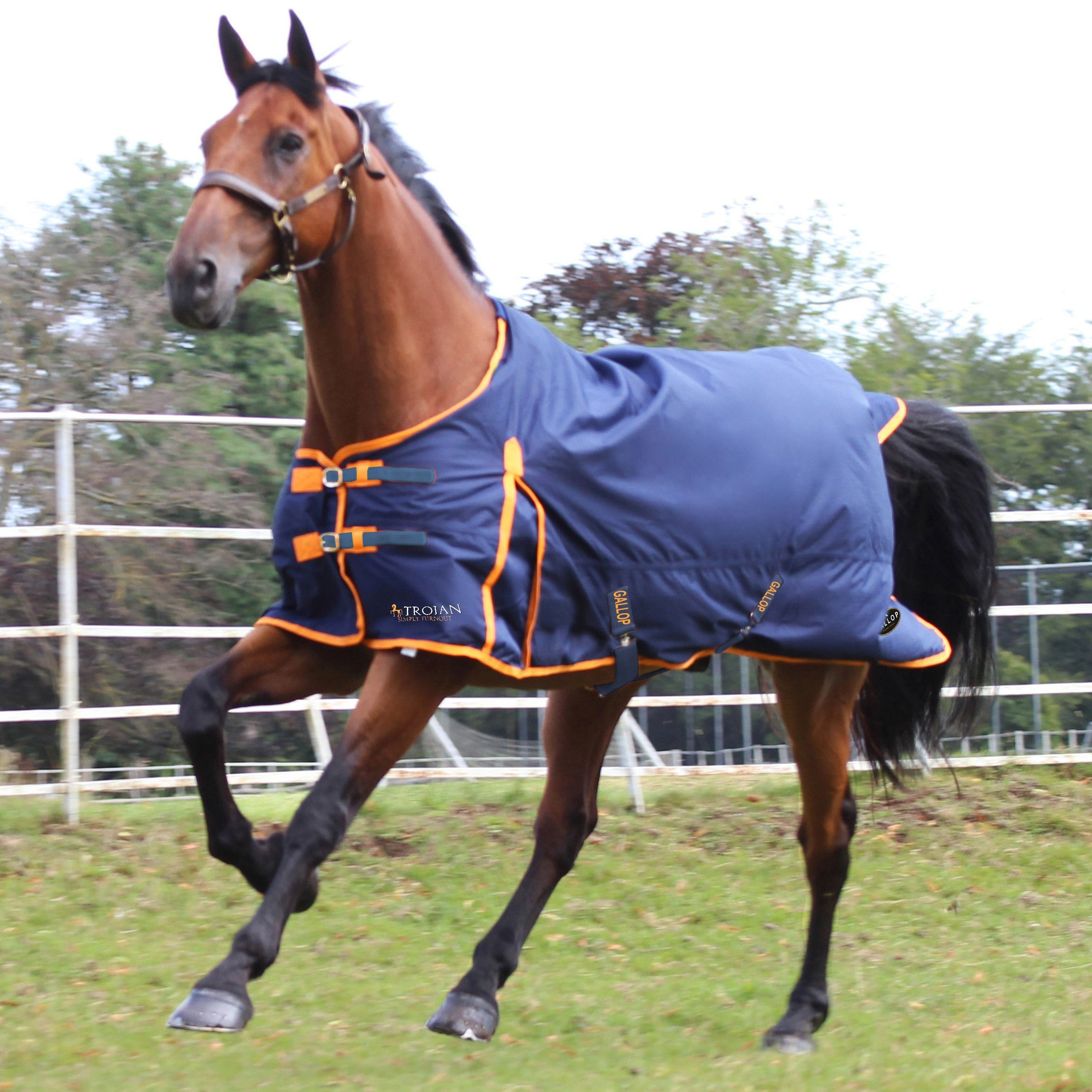 Trojan 100 Standard Turnout Rug