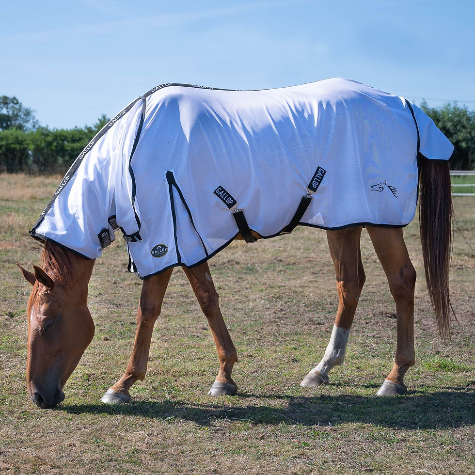 GALLOP Classic Combo Fly Rug