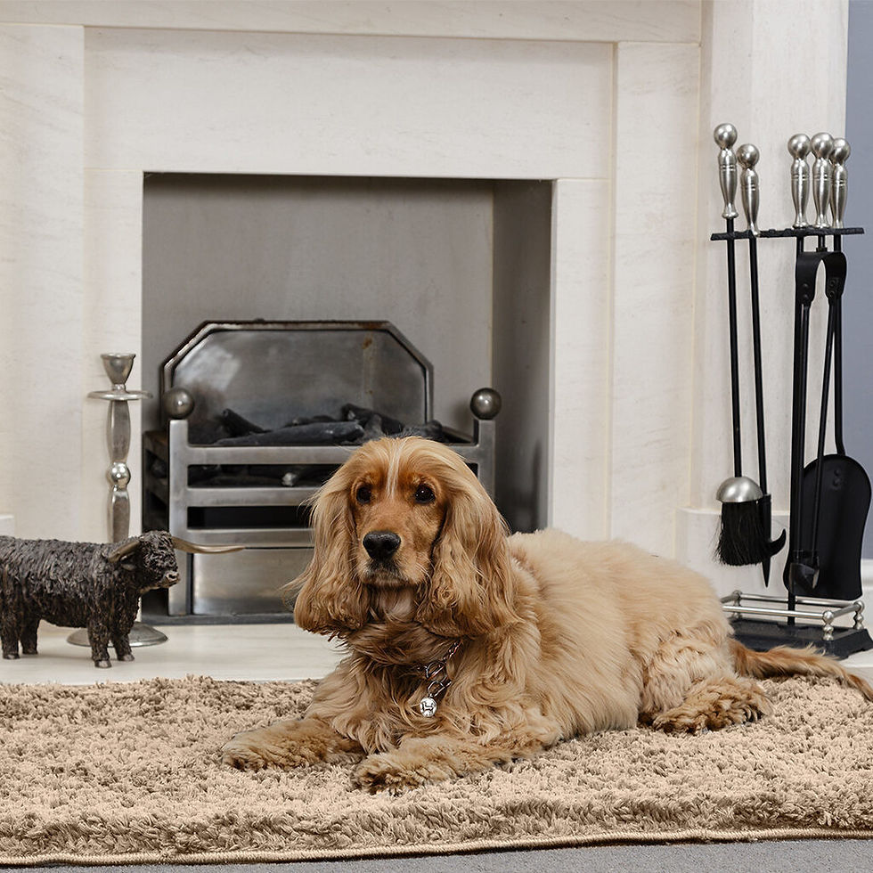 Thumbnail: Comfy Snug Rug