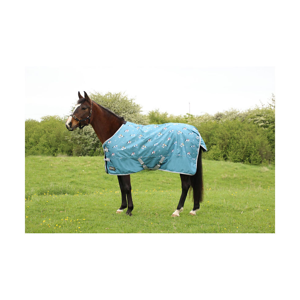 Thumbnail: StormX Original Competition Ready 50 Turnout Rug