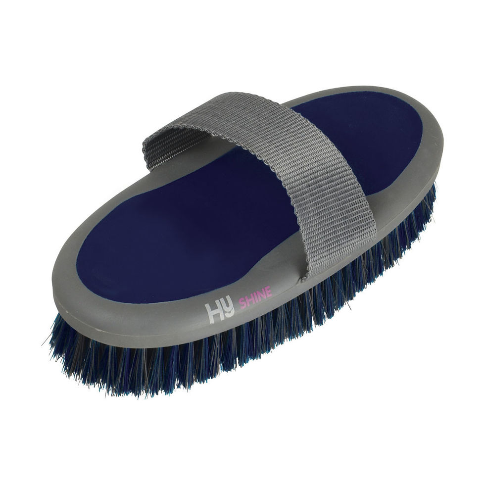 Thumbnail: HySHINE Active Groom Body Brush