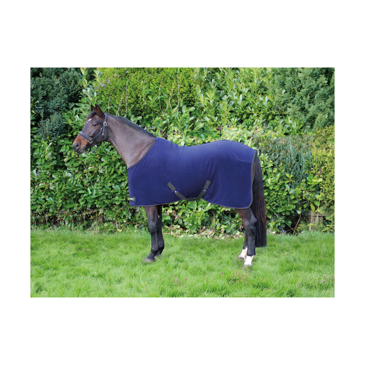 StormX Original Snug Fleece Rug