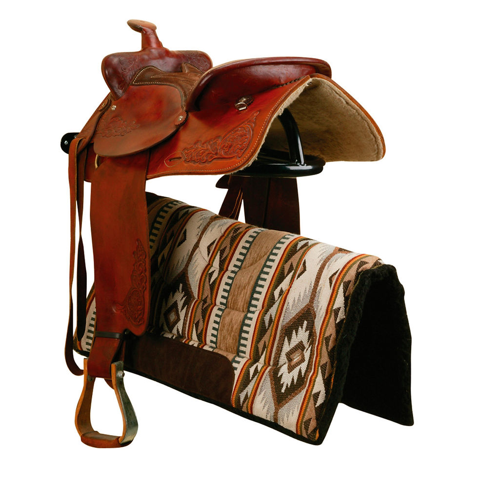 Thumbnail: Western Saddle Rack