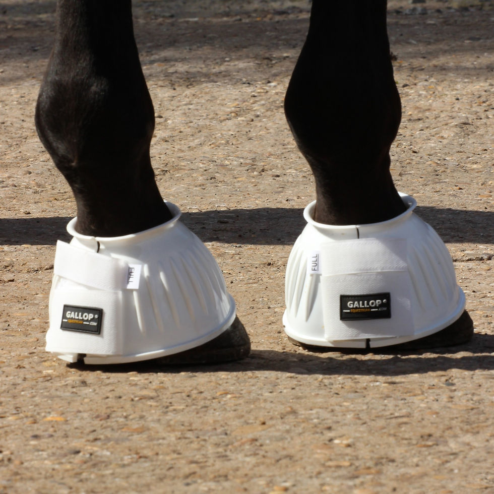 Double Taped Over Reach Boots