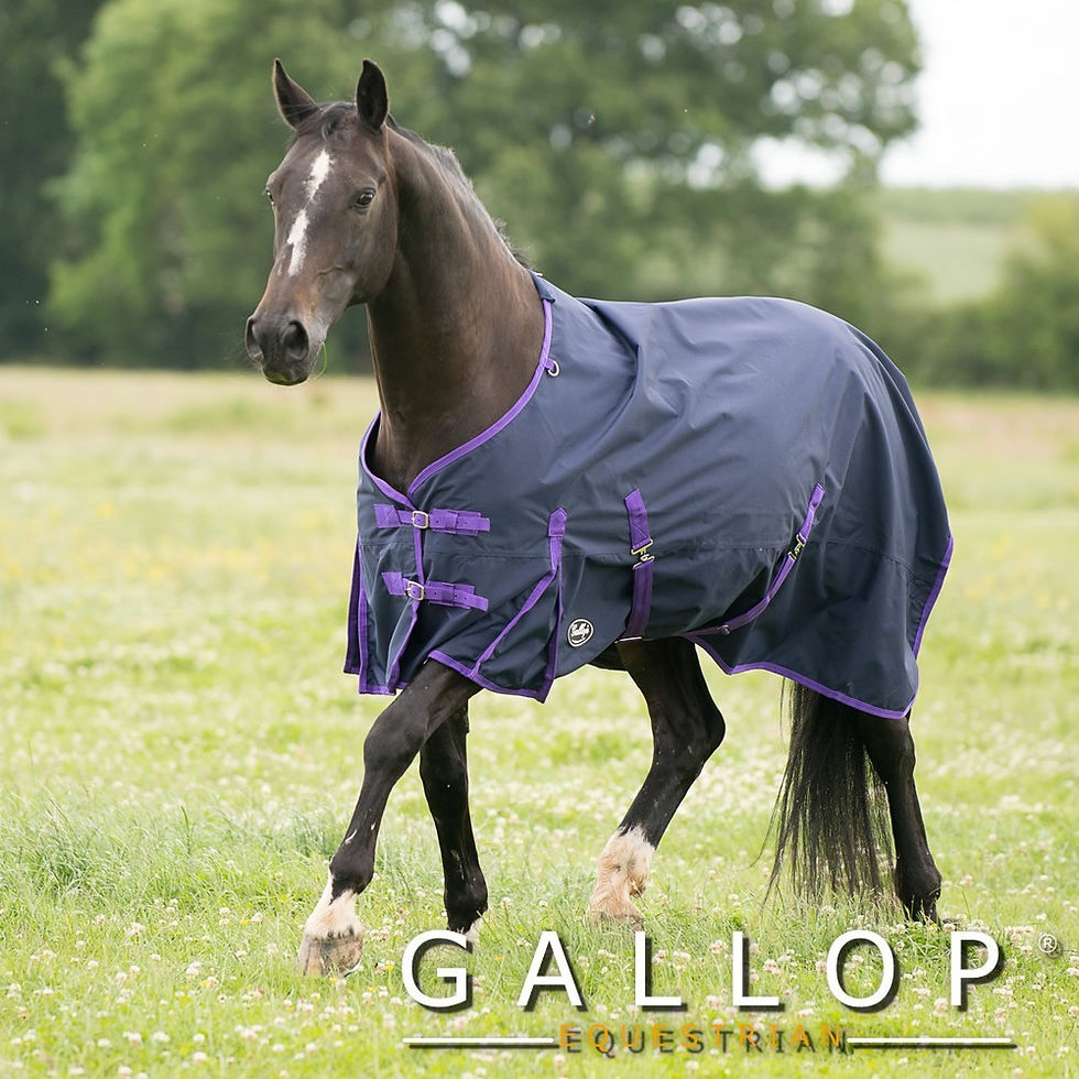 Thumbnail: Trojan Lightweight Turnout Rug