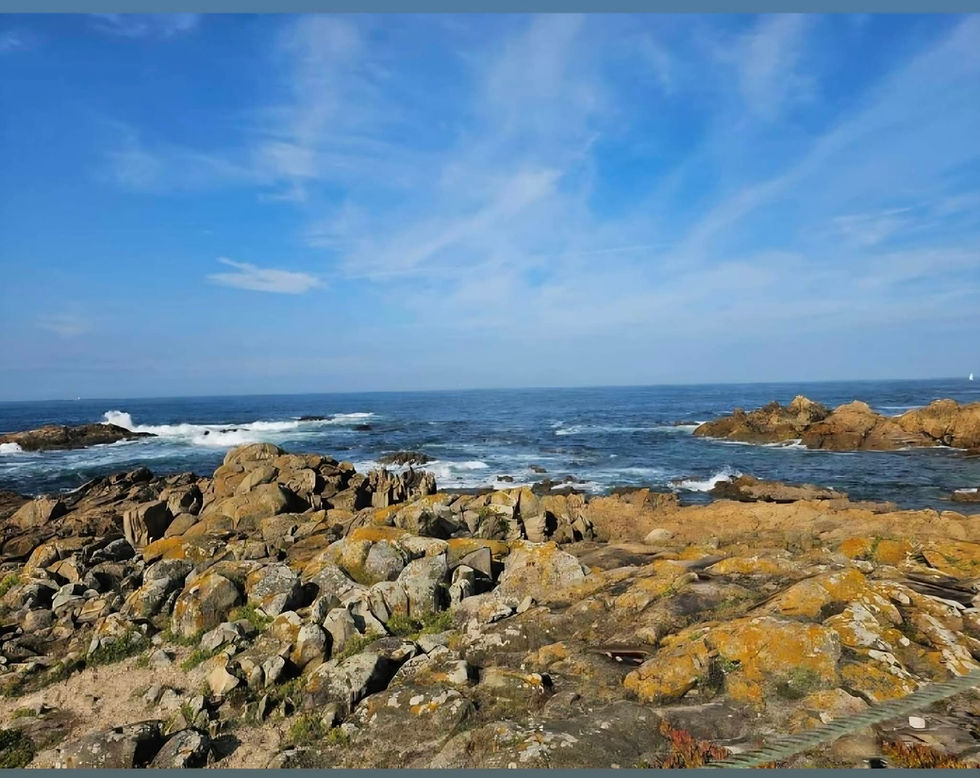 Guided Slow Stroll from Vigo to Santiago de Compostela along the Portuguese Camino and Spiritual Variant