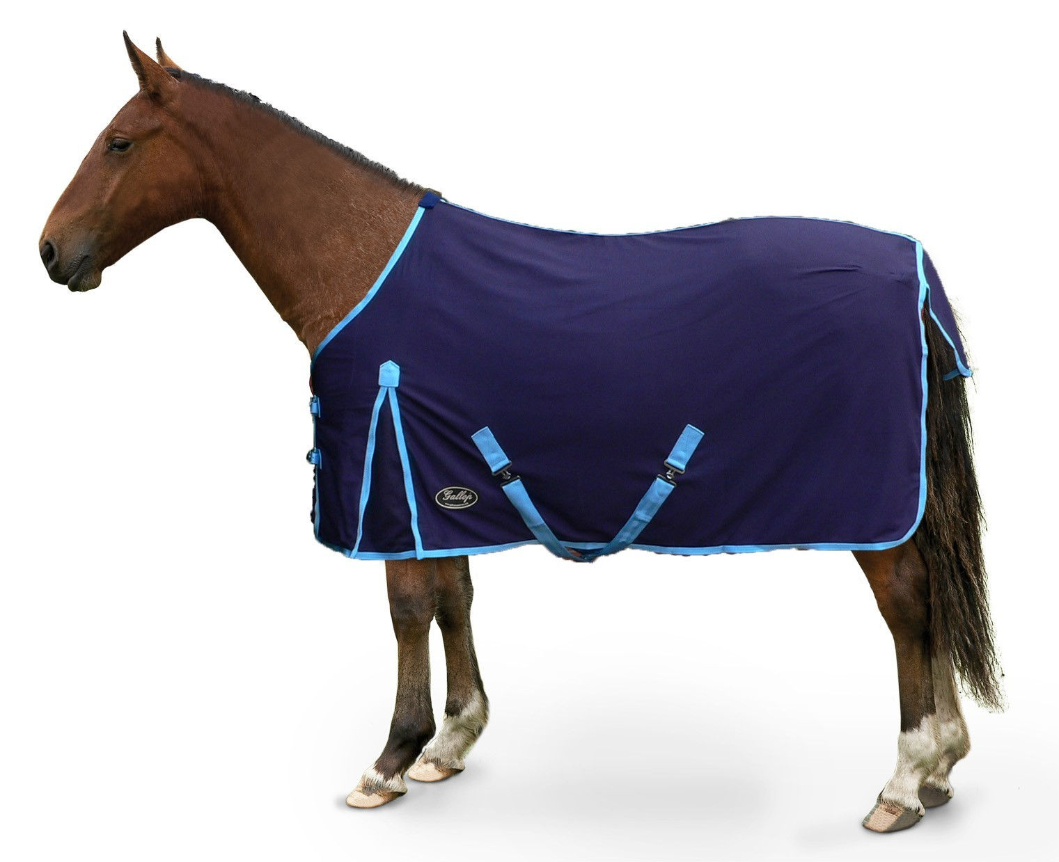 Gallop Cotton Summer Sheet