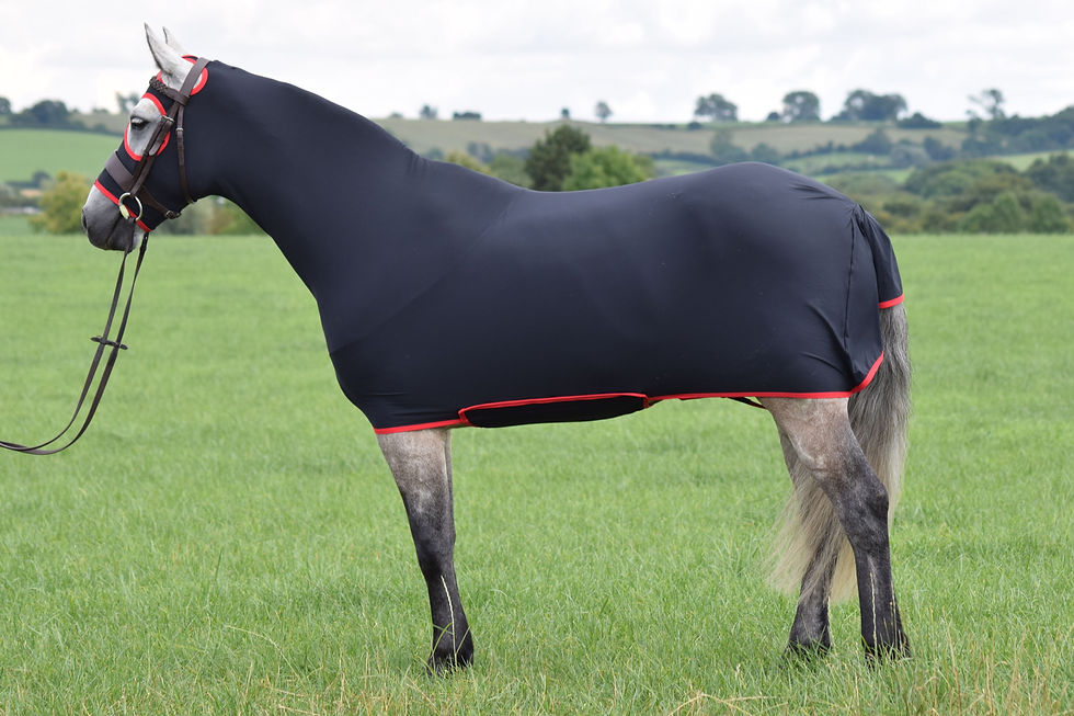 Thumbnail: Honsie - Horse Onsies