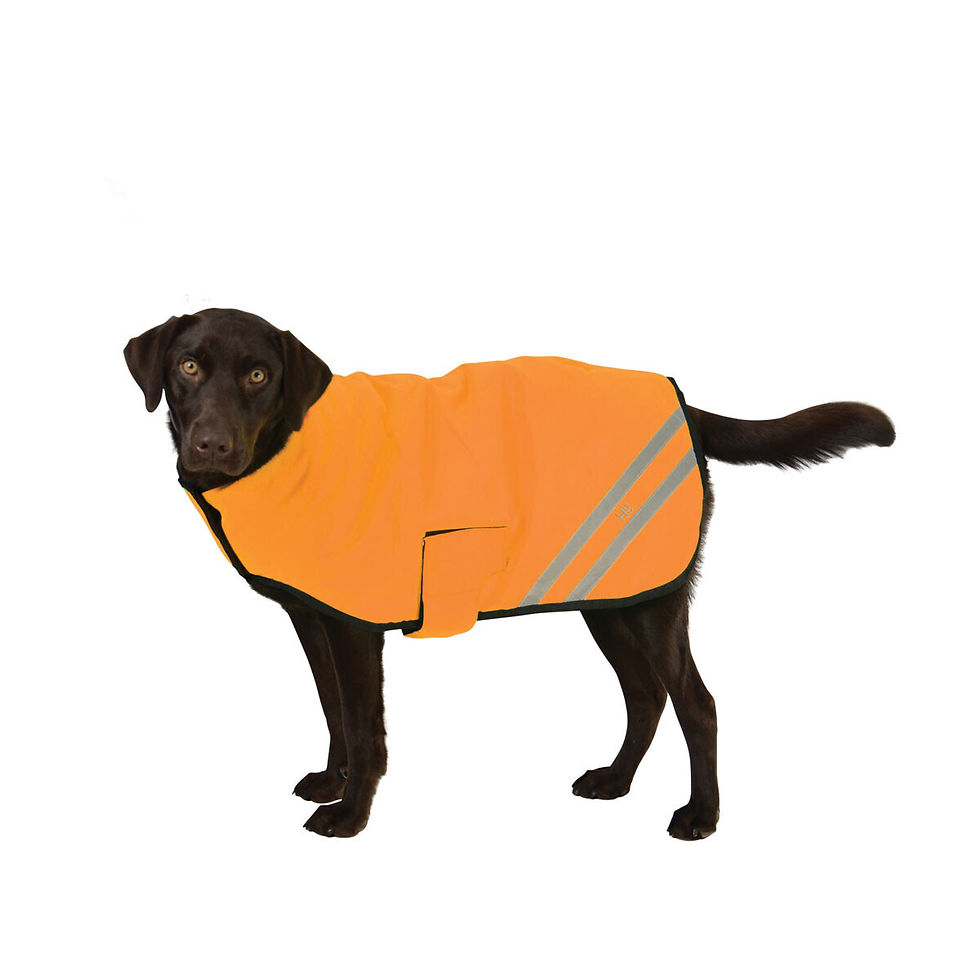 Thumbnail: HyVIZ Reflector Waterproof Dog Coat