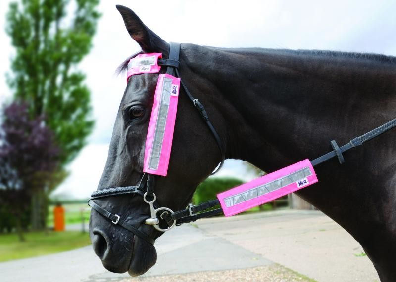 HyVIZ Bridle Set