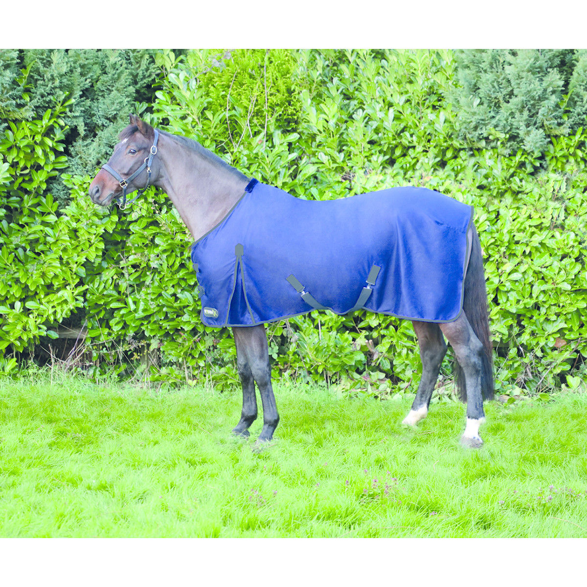 StormX Original Comfort Cotton Sheet