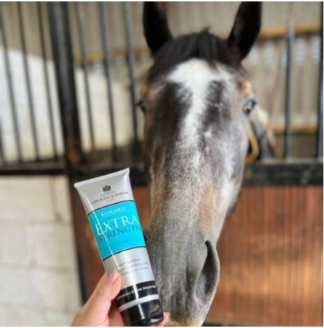 Thumbnail: FLYGARD EXTRA STRENGTH GEL - 250ml