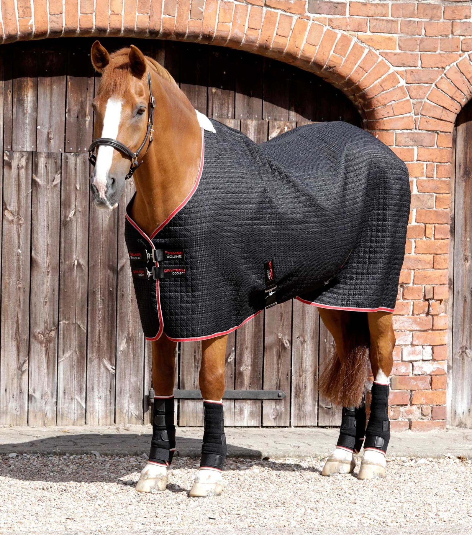 Dry-Tech Horse Cooler Rug