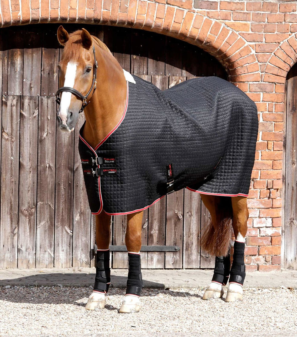 Thumbnail: Dry-Tech Horse Cooler Rug
