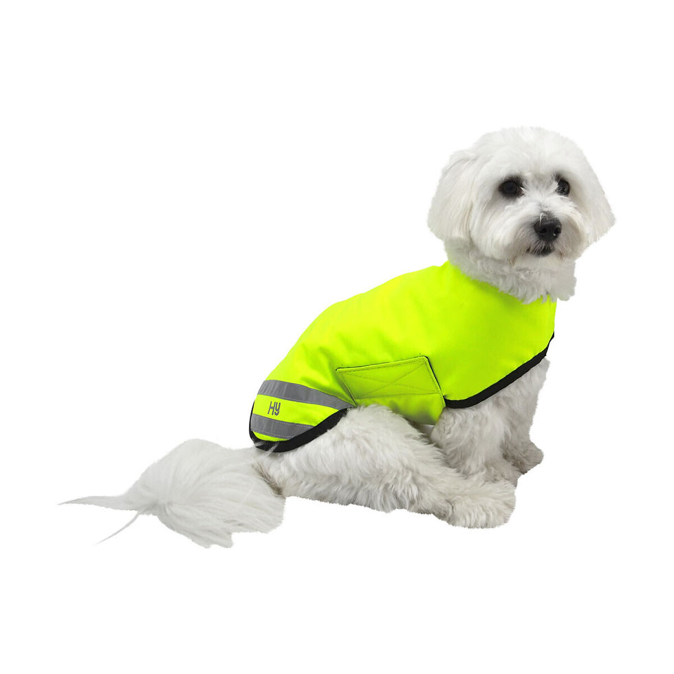Thumbnail: HyVIZ Reflector Waterproof Dog Coat