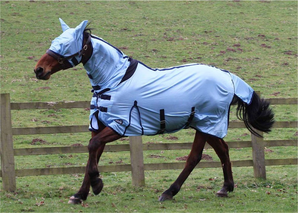 JUMP ALL IN ONE FLY RUG