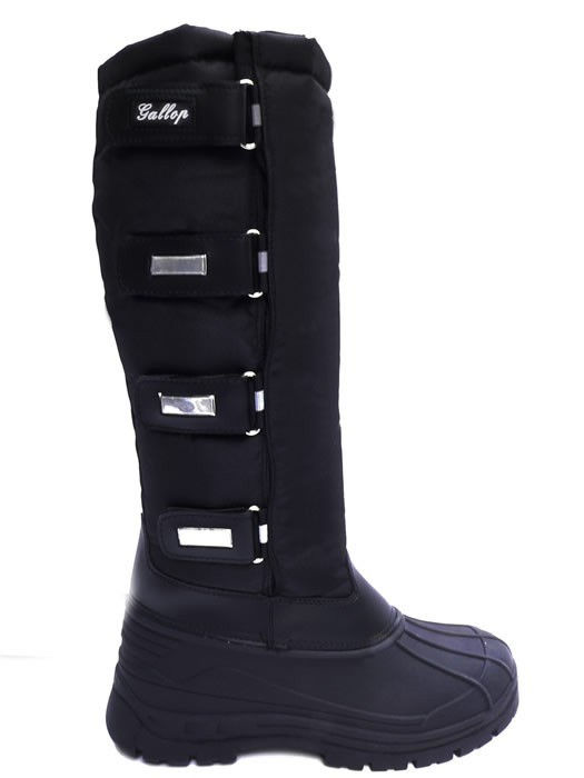 Alpine Boot