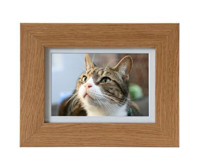 Thumbnail: Petributes Tribute Frame in solid oak or white finish