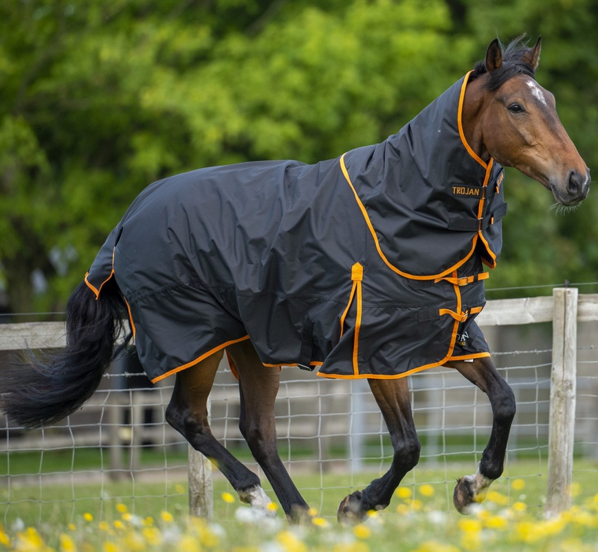 Trojan Dual 100 Turnout Rug & Neck Set