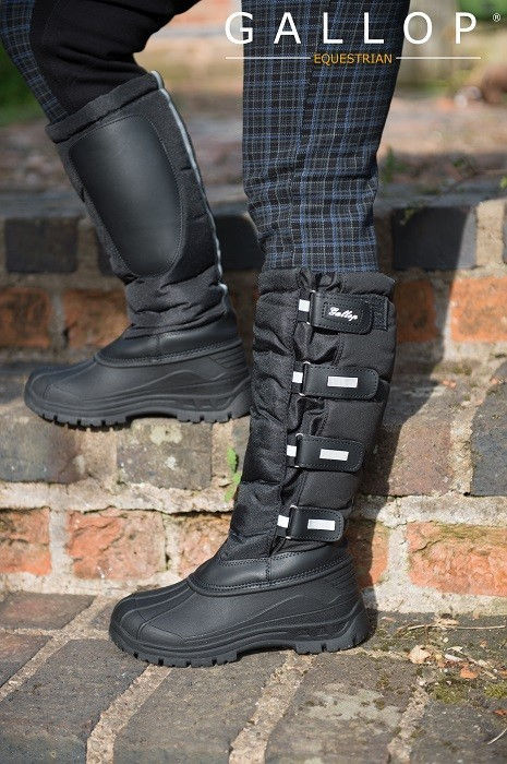 Thumbnail: Alpine Boot