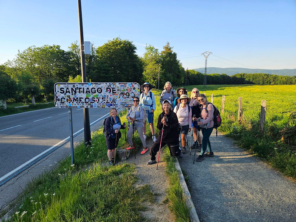 Guided Slow Stroll from Saint Jean Pied de Port to Estella on the Camino Frances