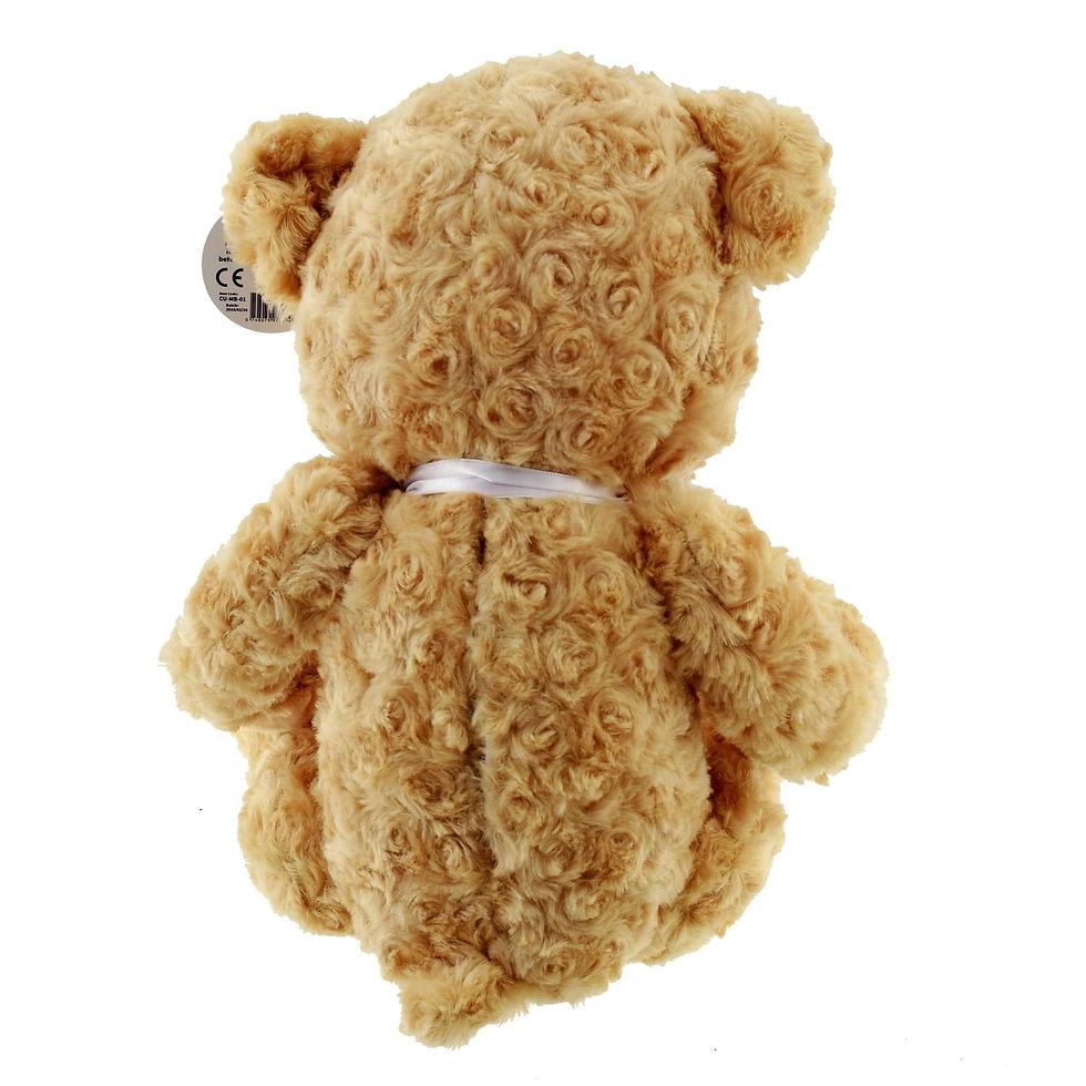 Memorial Teddy Bear (by Everwith)