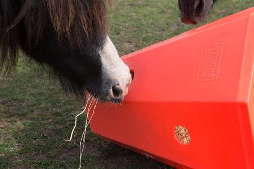 Hay Roller - Pony - without lid