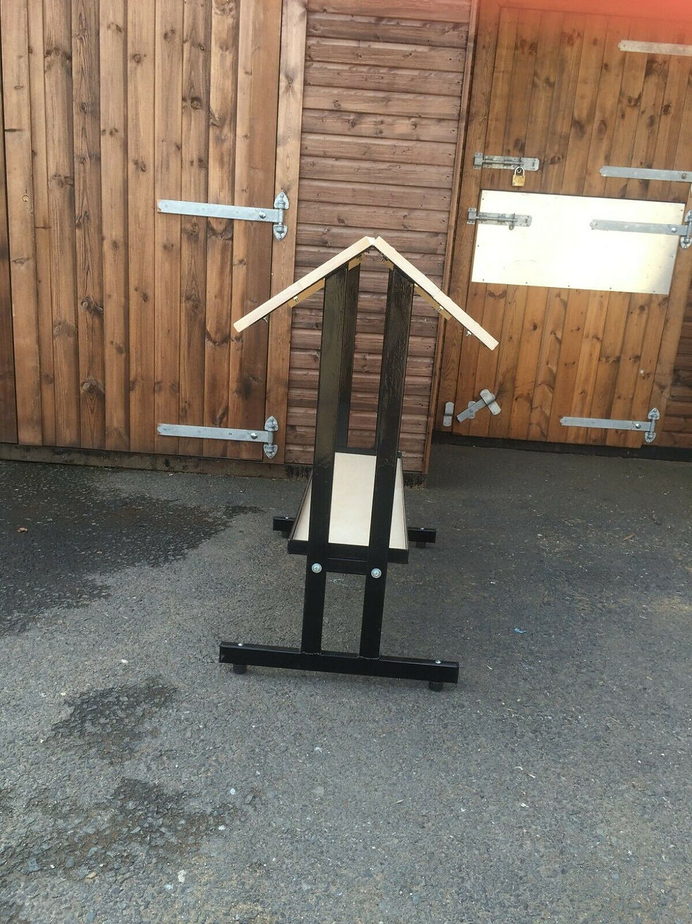 Saddle Horse