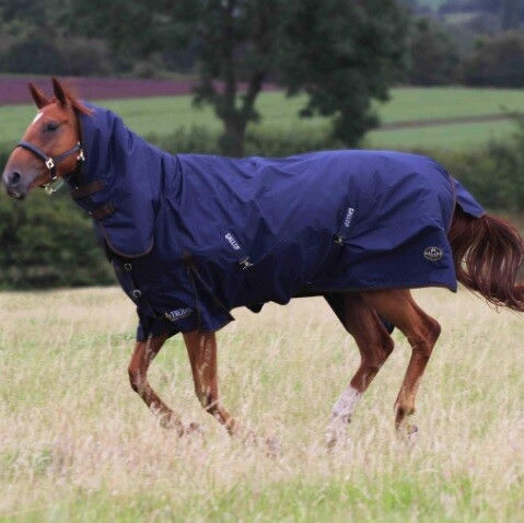 TROJAN 450 COMBO TURNOUT Rug