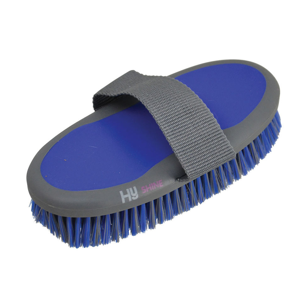 Thumbnail: HySHINE Active Groom Body Brush