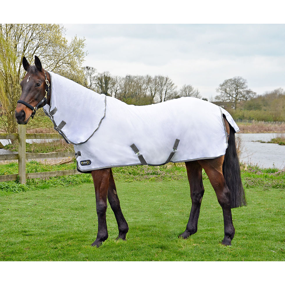 Thumbnail: StormX Original Warrior Combo Fly Rug