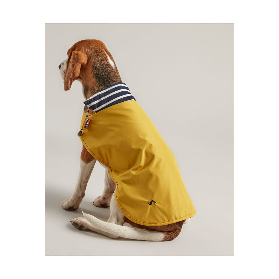 Thumbnail: Joules Water Resistant Dog Coat