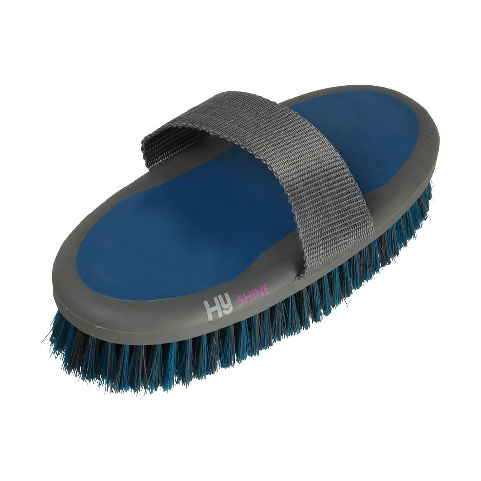 HySHINE Active Groom Body Brush