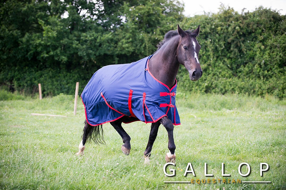 Thumbnail: Trojan 200 Standard Turnout Rug
